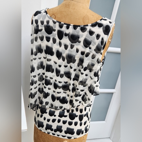 Sexy Sheer Layered LYNN RITCHIE SILVER Printed Tank Adorable EUC - Picture 5 of 8
